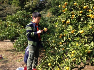 f:id:k46cub:20131124135325j:image f:id:k46cub:20131124135325j:image