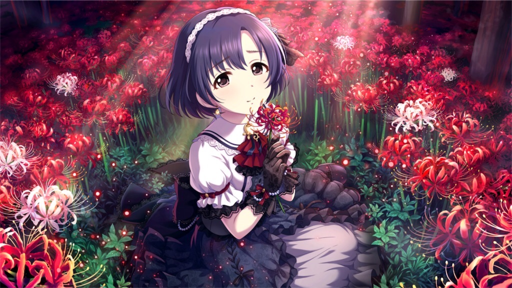 f:id:k6jyx835sl:20181210204627j:image