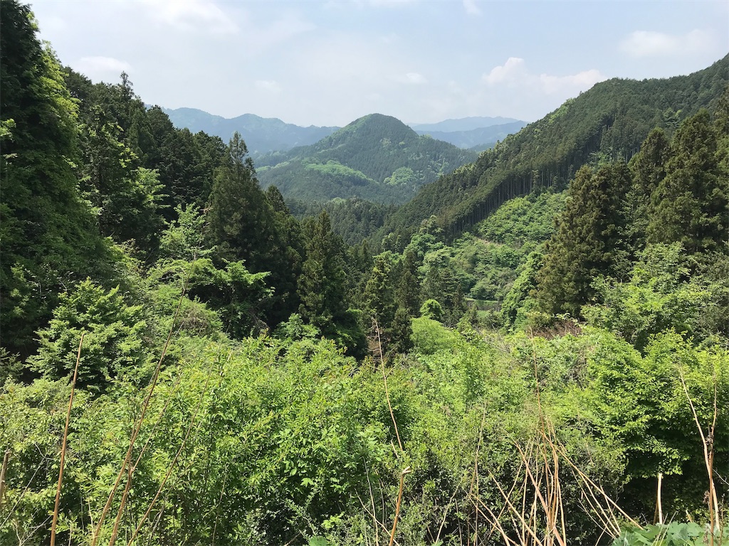 f:id:k6jyx835sl:20190512200411j:image