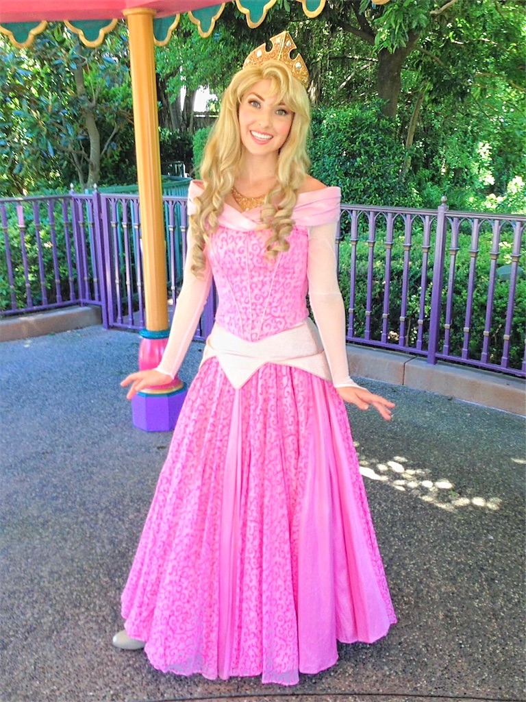 f:id:k9241069:20200528024801j:plain