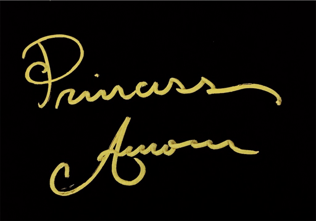 f:id:k9241069:20200531211107j:image