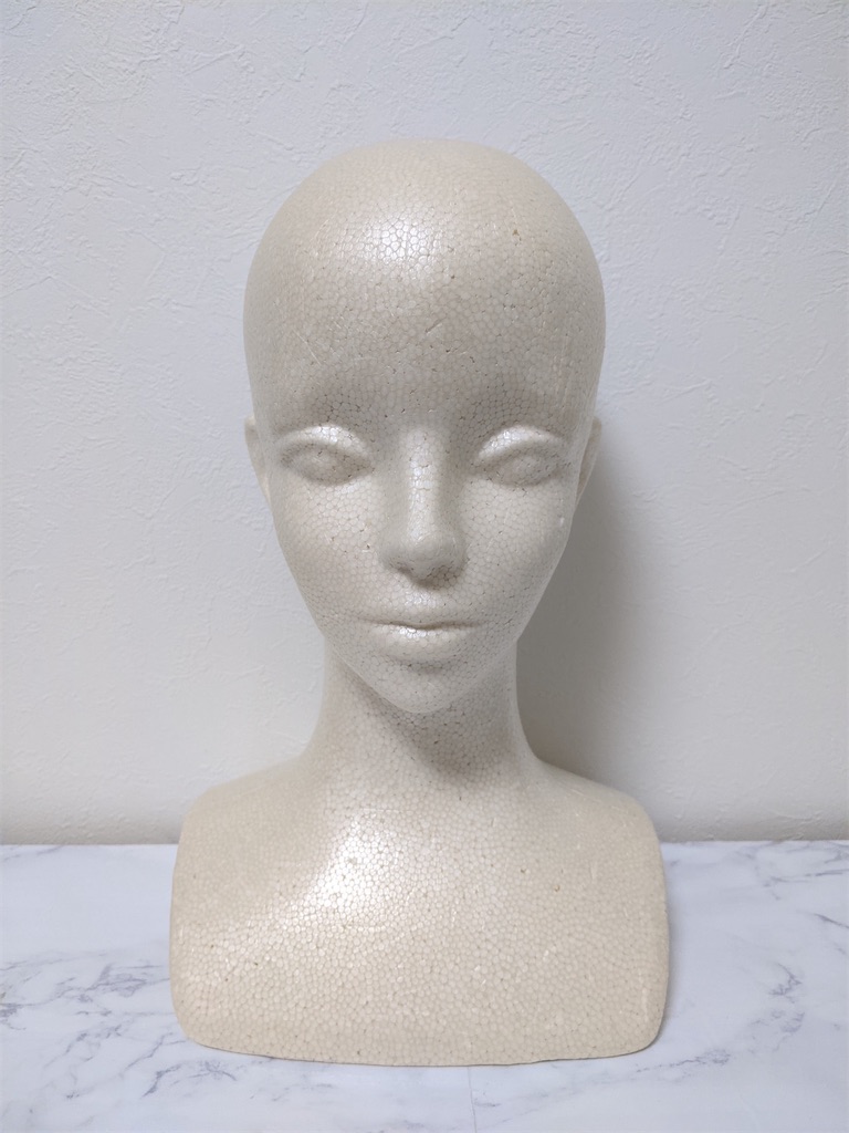 f:id:k9241069:20210805231849j:image