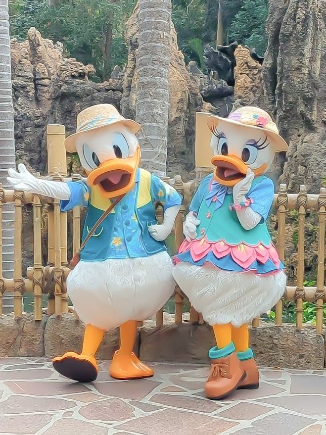 f:id:k9241069:20260105104043j:image