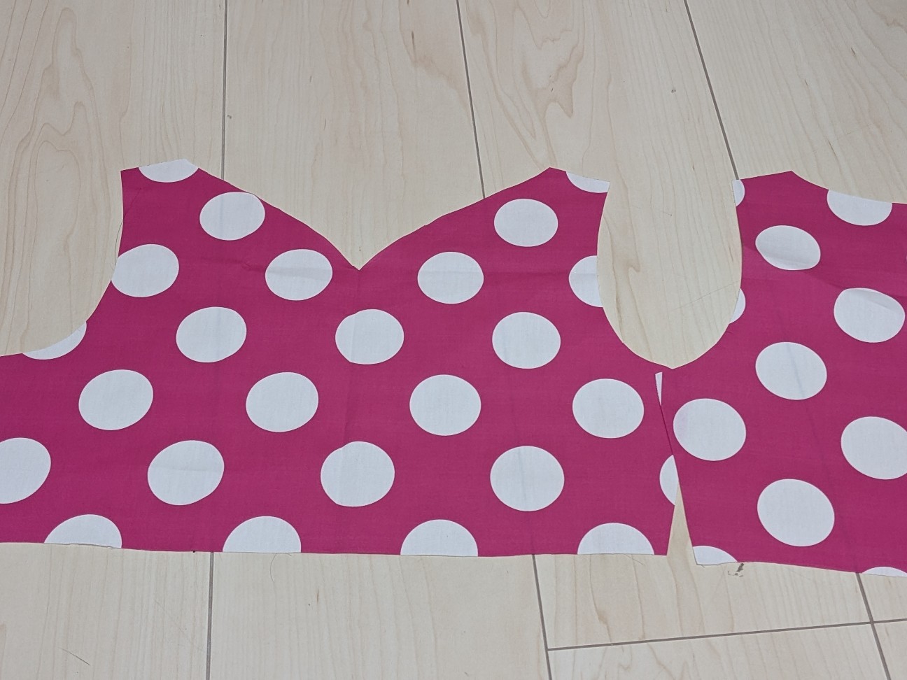 ミニパルの衣装（100cm）を作ってみた - おがわーるどレポ
