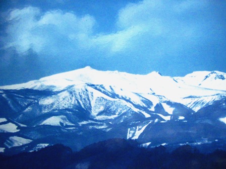 f:id:k9352009:20100305124511j:image