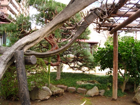 f:id:k9352009:20100307135732j:image