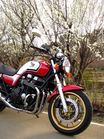 f:id:k9352009:20100322152231j:image