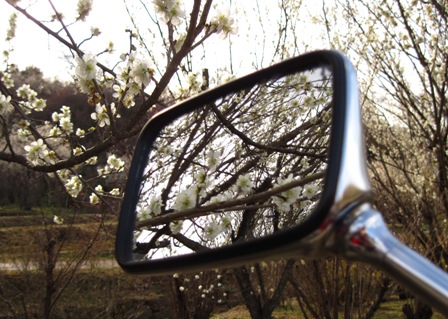 f:id:k9352009:20100322152317j:image