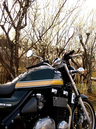 f:id:k9352009:20100322152340j:image