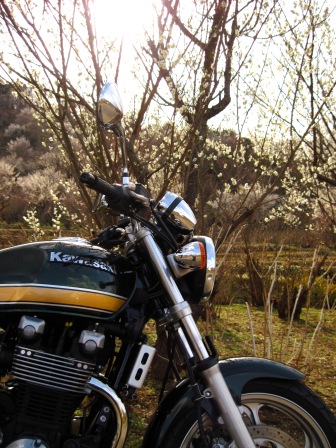 f:id:k9352009:20100322152348j:image