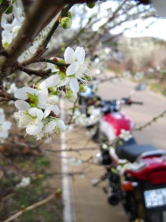 f:id:k9352009:20100322152720j:image