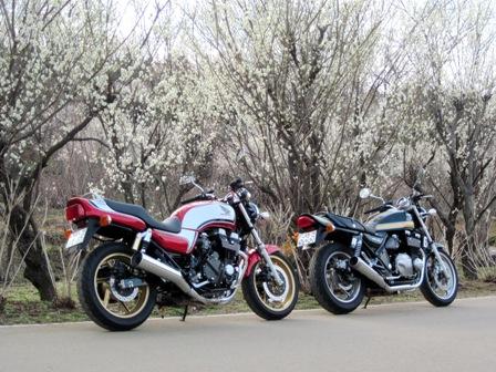 f:id:k9352009:20100322152818j:image
