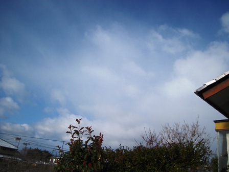 f:id:k9352009:20100330075017j:image