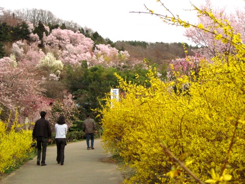 f:id:k9352009:20100411164330j:image
