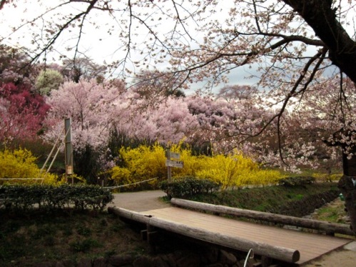 f:id:k9352009:20100411164630j:image