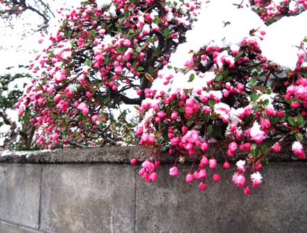 f:id:k9352009:20100417063826j:image f:id:k9352009:20100417063826j:image