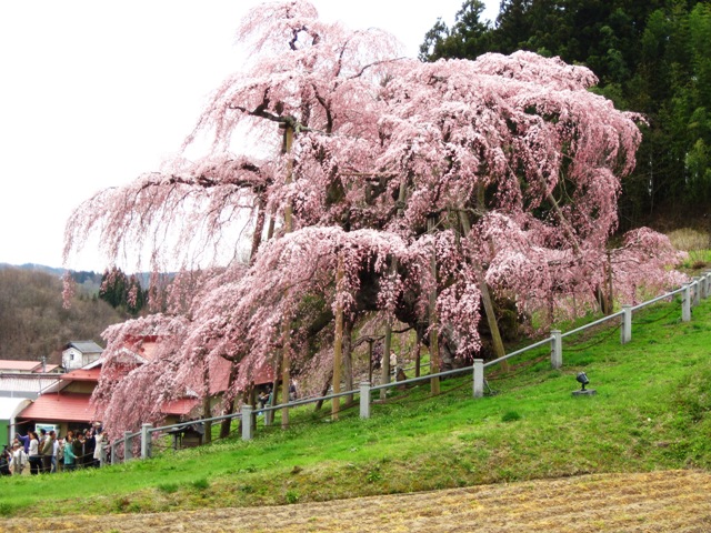 f:id:k9352009:20100421131437j:image