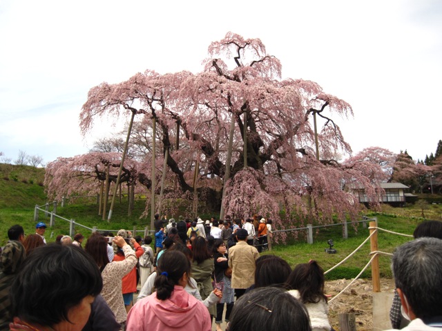 f:id:k9352009:20100421131820j:image