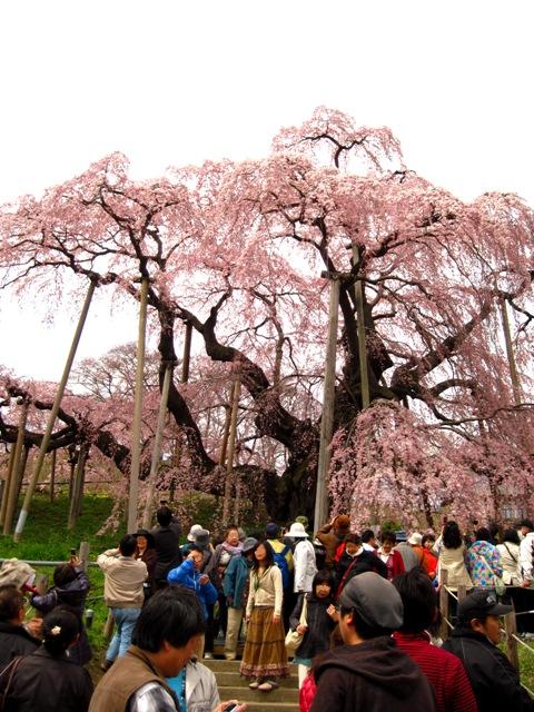 f:id:k9352009:20100421131843j:image