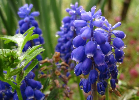 f:id:k9352009:20100422132209j:image