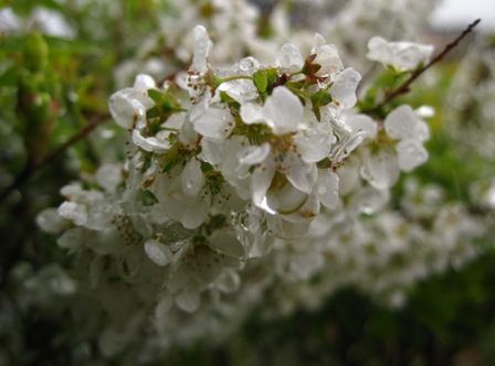 f:id:k9352009:20100422132420j:image