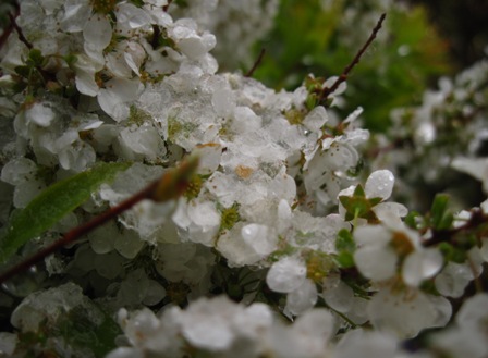 f:id:k9352009:20100422132434j:image