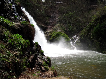 f:id:k9352009:20100505121236j:image:left