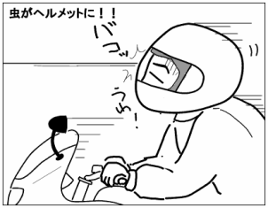 f:id:k9352009:20100527104903p:image
