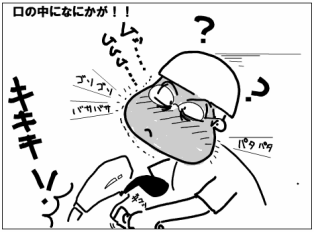 f:id:k9352009:20100527104930p:image