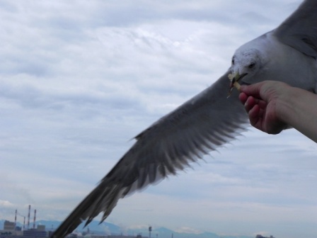 f:id:k9352009:20100722111928j:image