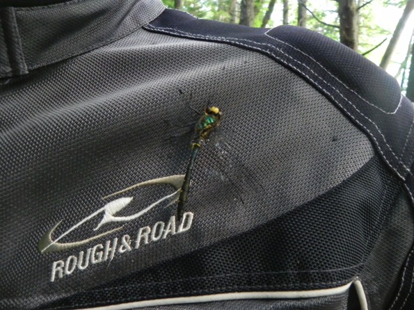 f:id:k9352009:20100726091601j:image