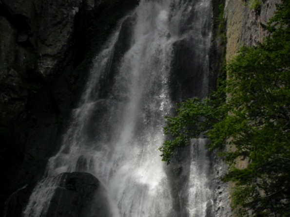 f:id:k9352009:20100726093107j:image