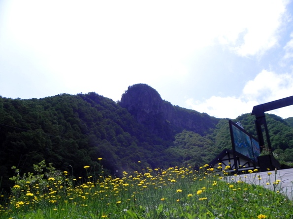 f:id:k9352009:20100726093134j:image