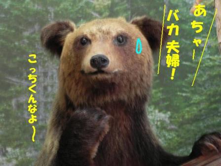 f:id:k9352009:20100726101711j:image