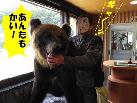 f:id:k9352009:20100726101813j:image