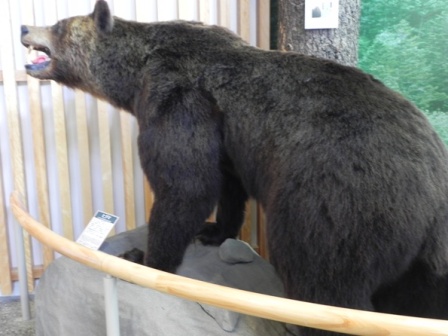 f:id:k9352009:20100726110204j:image