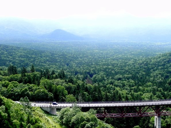 f:id:k9352009:20100726113745j:image