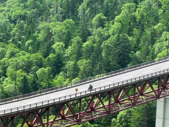 f:id:k9352009:20100726113844j:image