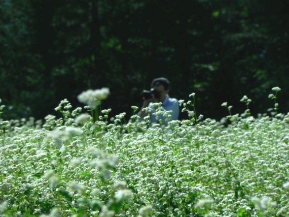 f:id:k9352009:20100906105642j:image