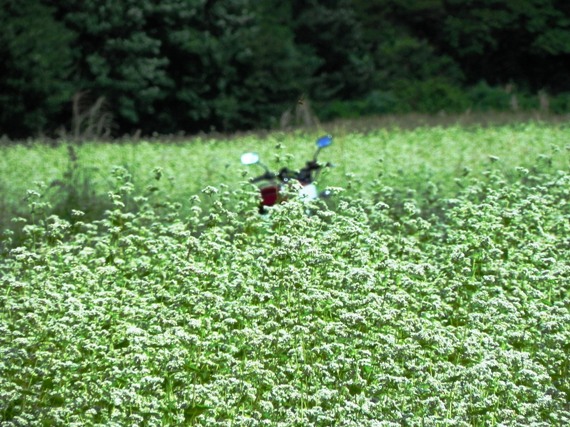 f:id:k9352009:20100906111234j:image
