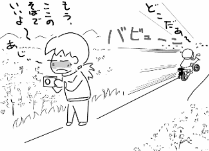 f:id:k9352009:20100906121632p:image