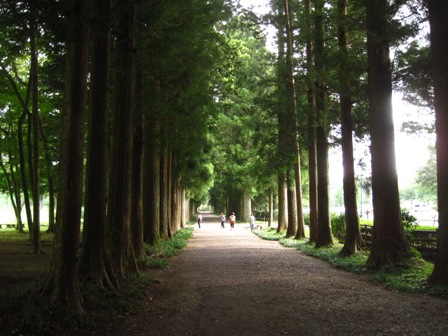 f:id:k9352009:20100921094255j:image f:id:k9352009:20100921094255j:image