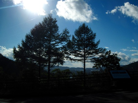 f:id:k9352009:20100927204952j:image f:id:k9352009:20100927204952j:image