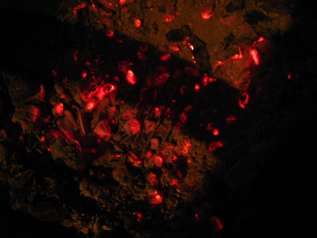 f:id:k9352009:20100927213901j:image f:id:k9352009:20100927213901j:image