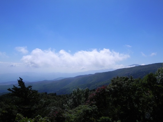 f:id:k9352009:20101002124910j:image