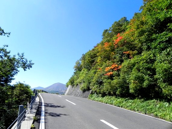 f:id:k9352009:20101002124911j:image