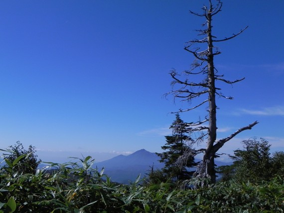 f:id:k9352009:20101002125045j:image