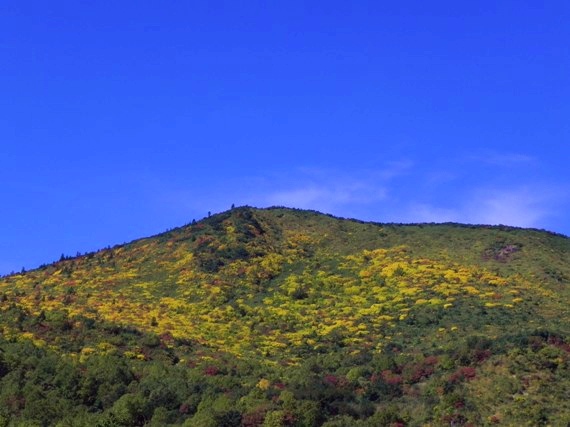 f:id:k9352009:20101002125046j:image