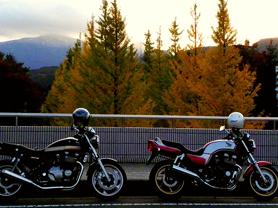 f:id:k9352009:20101106002213j:image