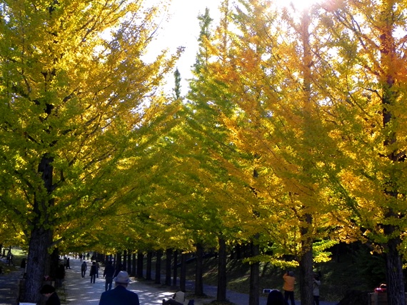f:id:k9352009:20101106002229j:image